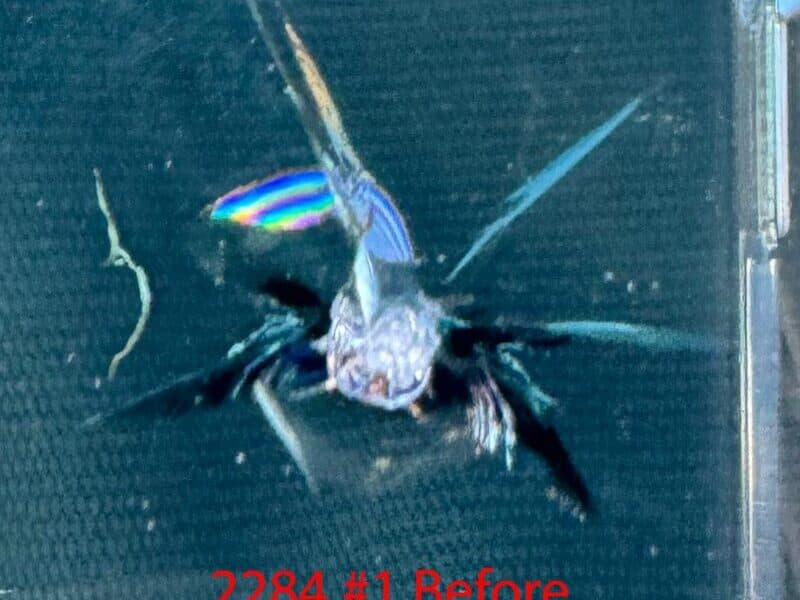 Combination Break Repair — before repair
