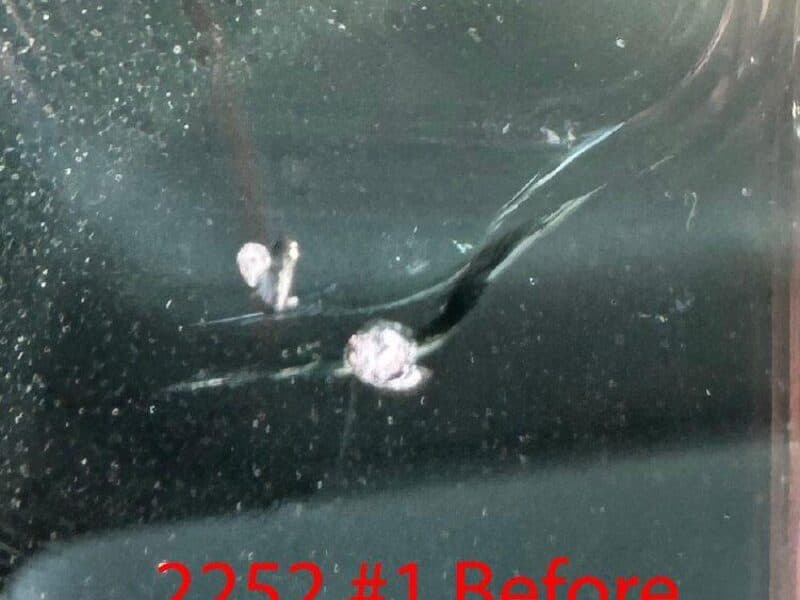Angel Wing Break Repair — before repair